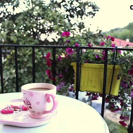 Myway Hotel